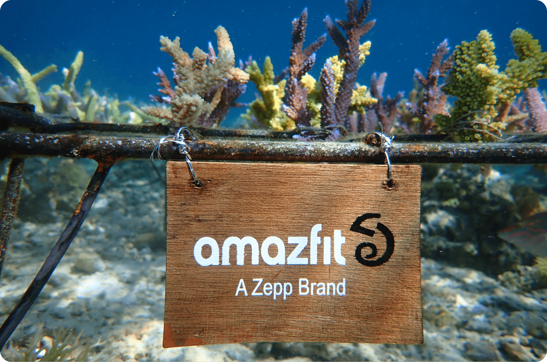 about amazfit Amazfit eu